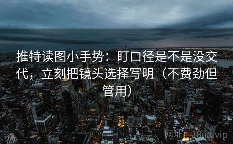 推特读图小手势：盯口径是不是没交代，立刻把镜头选择写明（不费劲但管用）