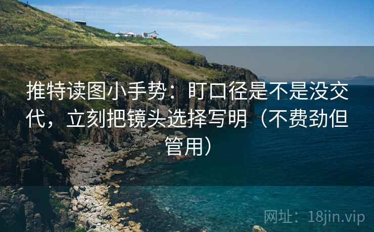 推特读图小手势:盯口径是不是没交代,立刻把镜头选择写明(不费劲但管用) 第2张 推特读图小手势:盯口径是不是没交代,立刻把镜头选择写明(不费劲但管用) 第2张